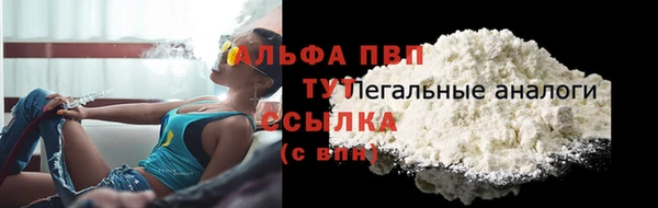 крисы Арсеньев