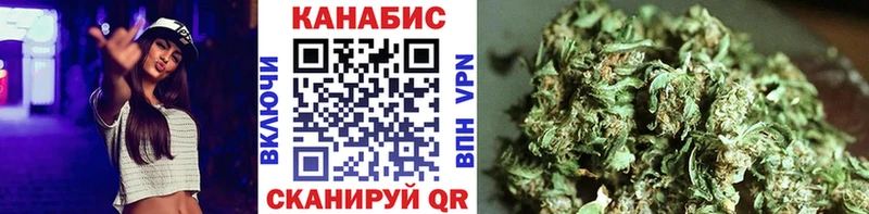 Марихуана план  Чудово 
